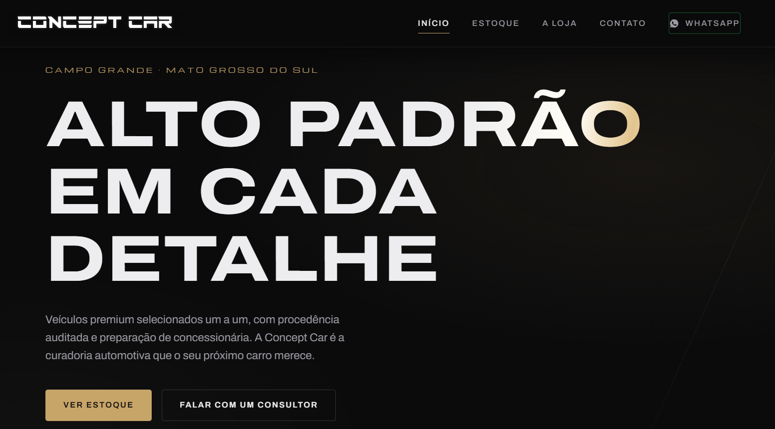 Print do site Concept Car